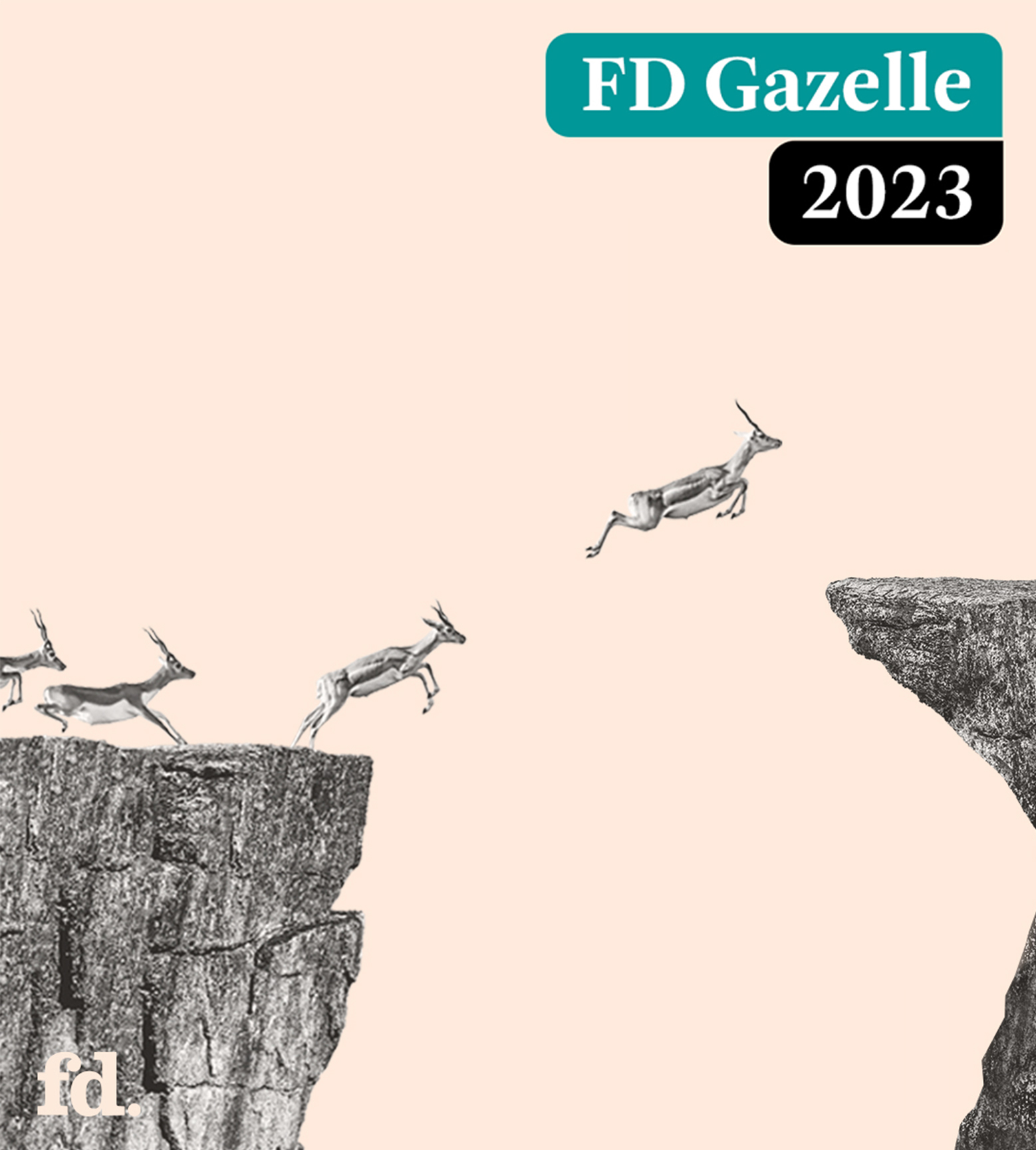 Global Mounts Group gewinnt die Auszeichnung FD Gazelle