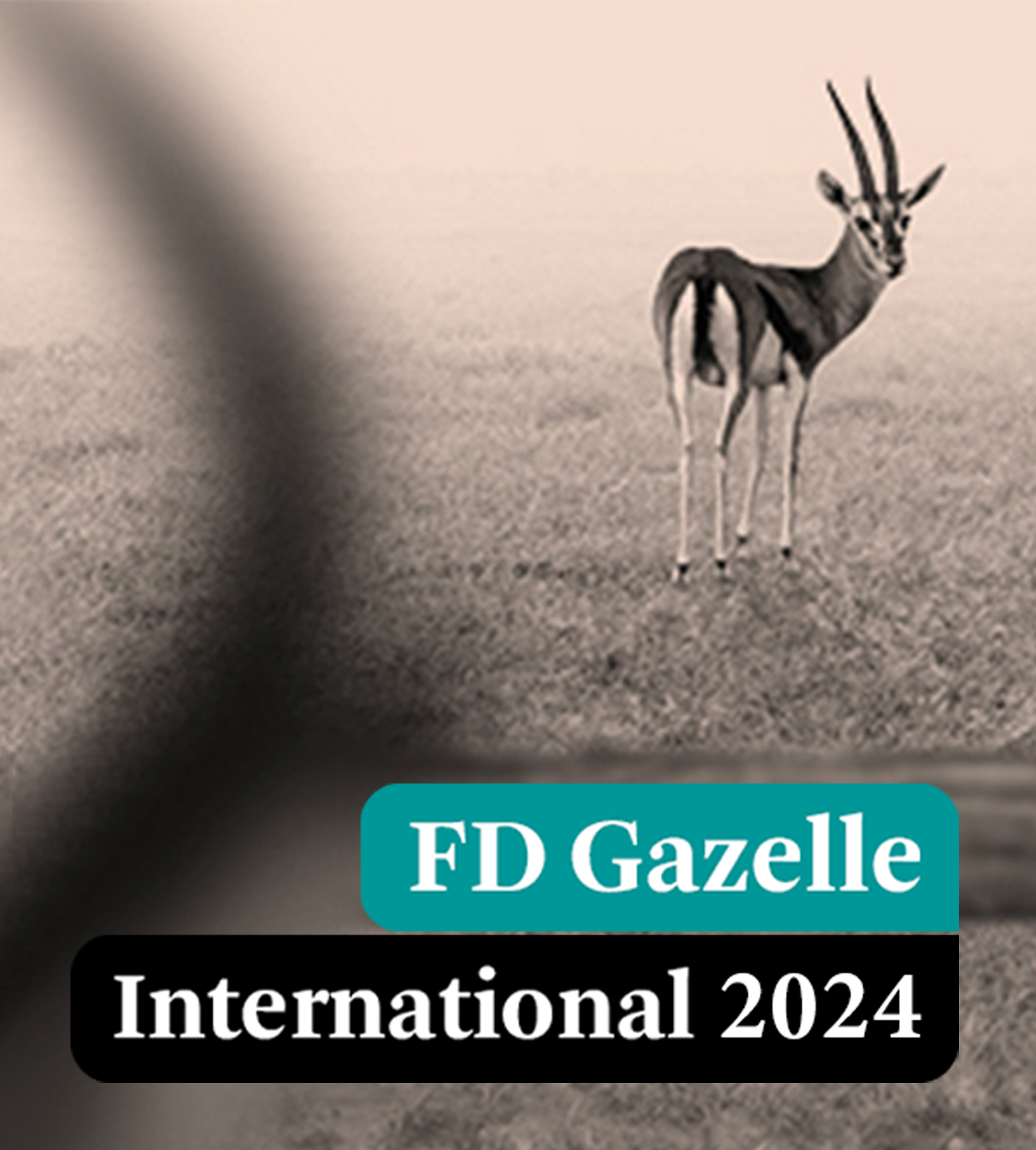 FD Gazelle International Award 2024 für die Global Mounts Group
