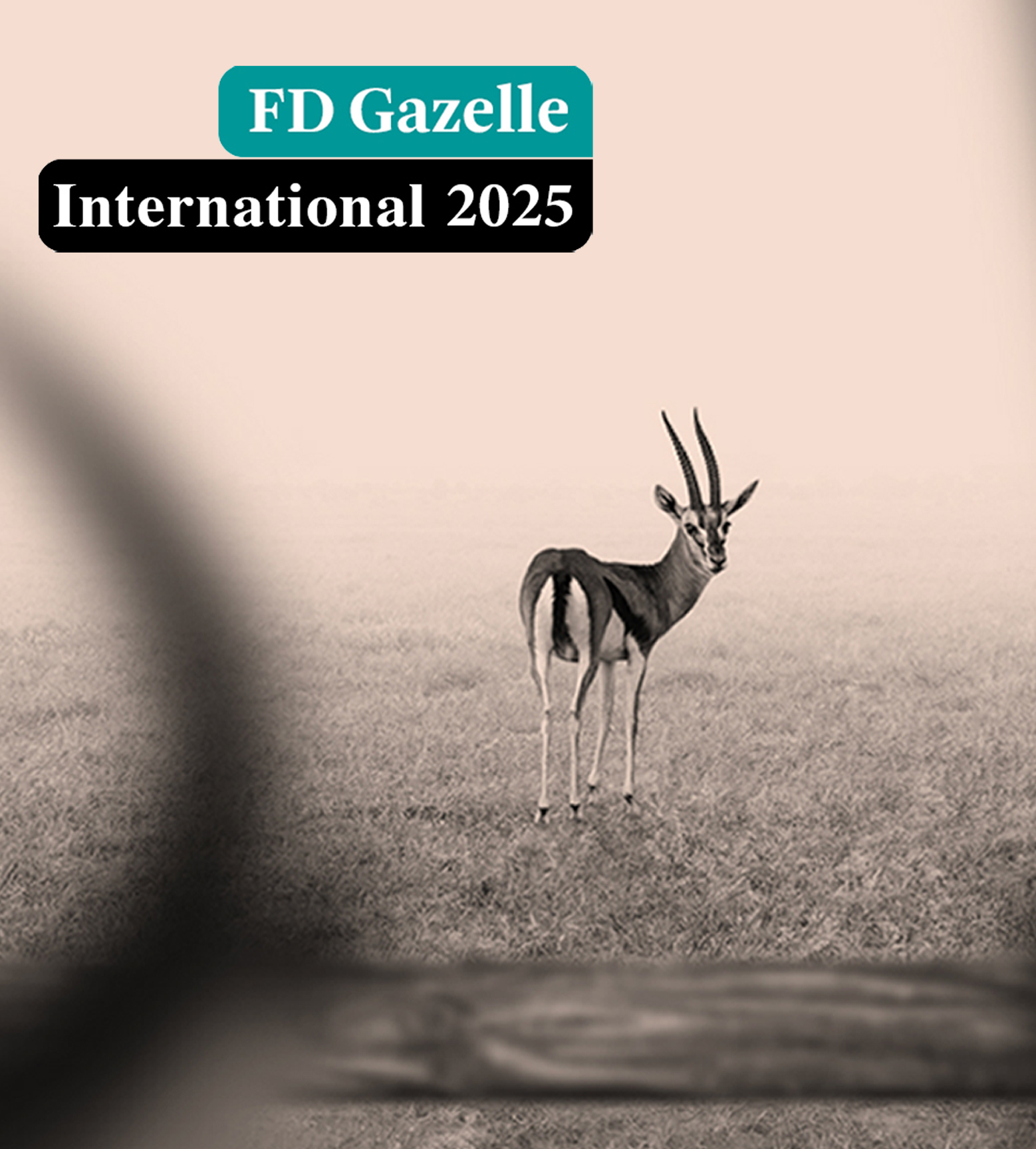 Die Global Mounts Group gewinnt den FD Gazelle Award 2024