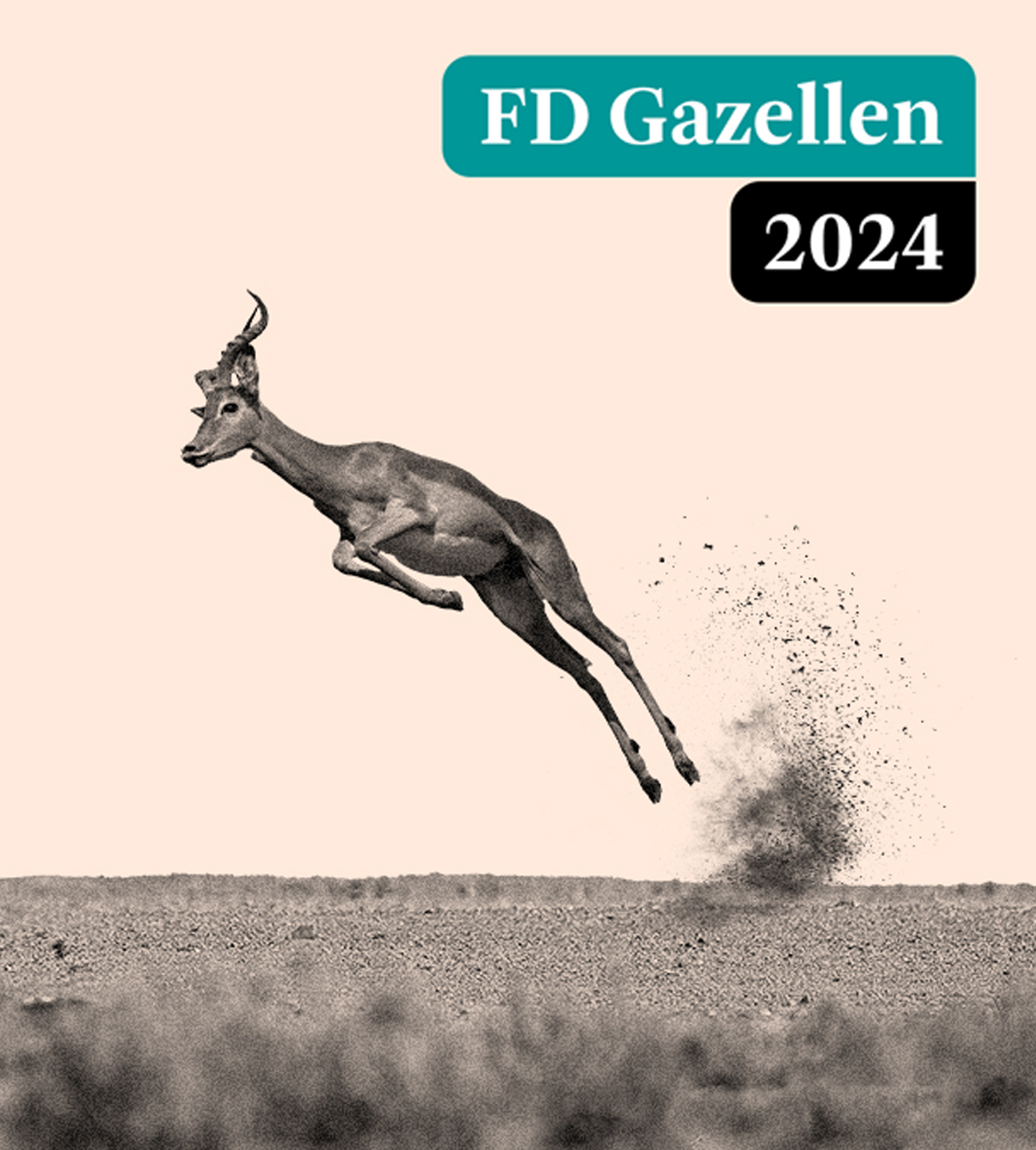 Die Global Mounts Group gewinnt den FD Gazelle Award 2024
